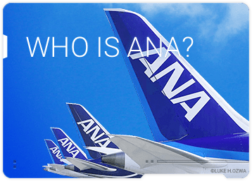 WHO IS ANA?